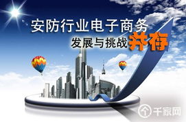 安防行業(yè)電子商務(wù)發(fā)展與挑戰(zhàn)并存 計(jì)算機(jī)技術(shù)的推動與阻礙