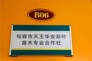 喜訊！華東森林產品電商城入選首批江蘇省鄉鎮電子商務特色產業園區